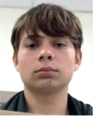 17-Year-Old Bryson Love (Photo: Georgia Police Department)